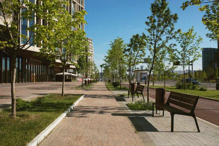 Allée piétonne aménagée avec bancs et arbres en centre-ville moderne
