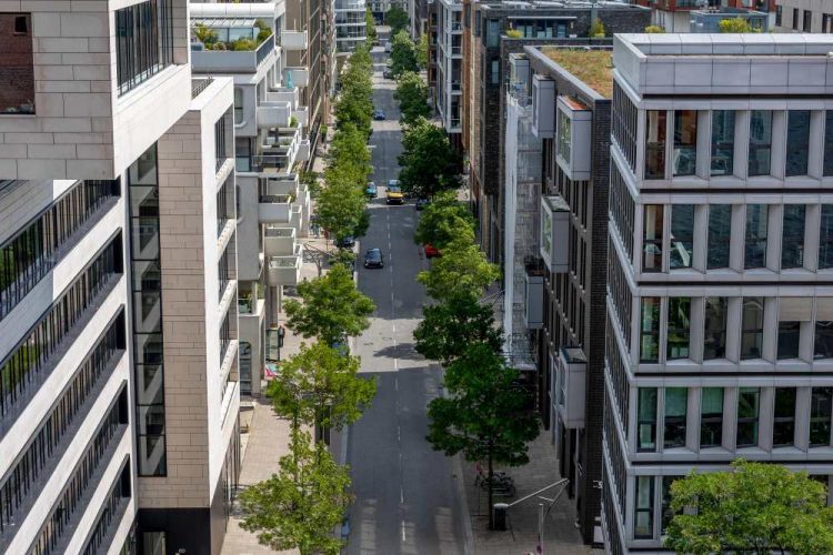 Vue d’une rue urbaine moderne bordée d’immeubles et d’espaces verts